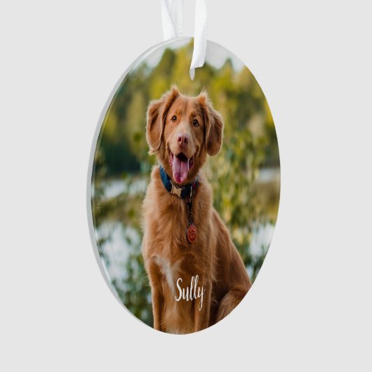 カスタムペットロス引用文ペット記念館 オーナメント (正面)