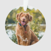 カスタムペットロス引用文ペット記念館 オーナメント (正面)