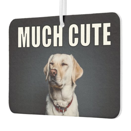 カスタムペット写真おもしろい多くかわいいミームスタイル カーエアーフレッシュナー (左)