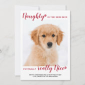 カスタムペット写真ナウライトナイスレッドバッファロープレイド シーズンカード (正面)