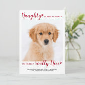 カスタムペット写真ナウライトナイスレッドバッファロープレイド シーズンカード (スタンド正面)