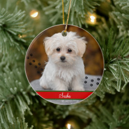 カスタムペット写真パーソナライズされた～両面 セラミックオーナメント