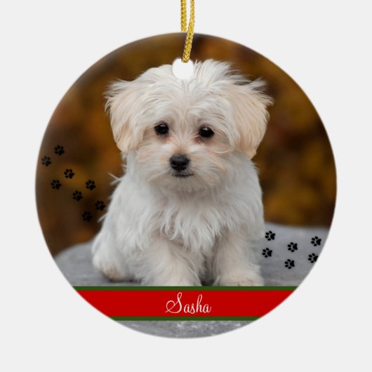 カスタムペット写真パーソナライズされた～両面 セラミックオーナメント (正面)