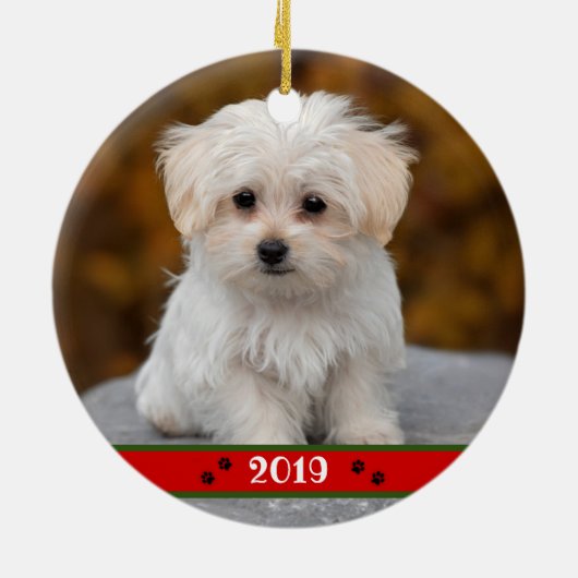 カスタムペット写真パーソナライズされた～両面 セラミックオーナメント (裏面)