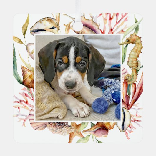 カスタムペット写真ビーチクリスマス メタルオーナメント (正面)