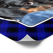 カスタムペット写真フレームクラシックブルー&ブラックプレイド ポスター (角)