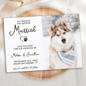 カスタムペット写真モダン書道犬結婚の セーブザデート
