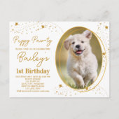 カスタムペット写真金ゴールドスターズ子犬誕生日 インビテーションポストカード (正面)