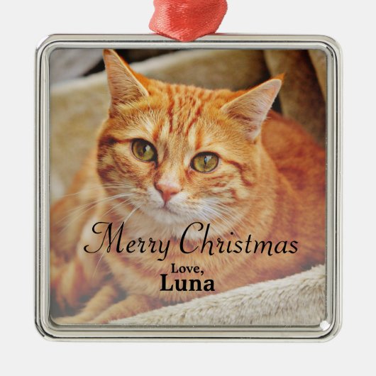 カスタムペット名クリスマスホリデーフォト メタルオーナメント (正面)