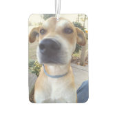 カスタムペット犬の写真 カーエアーフレッシュナー (裏面)