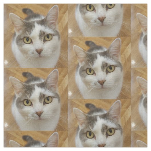 カスタムペット犬の猫写真パターン ファブリック (見本)