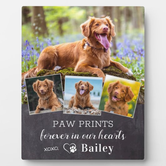 カスタムペット犬の記念パーソナライズされた4写真 フォトプラーク (正面)