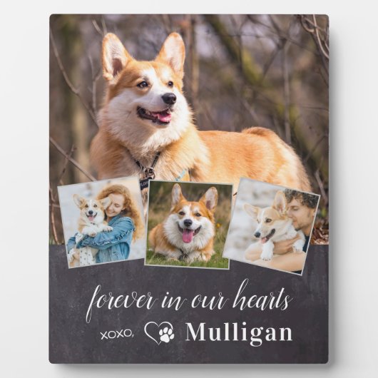 カスタムペット犬の記念悔やみや弔慰記念4写真 フォトプラーク (正面)