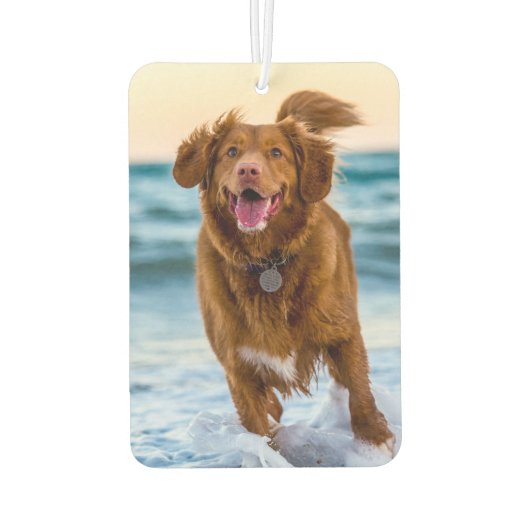 カスタムペット犬の記念撮影 カーエアーフレッシュナー (裏面)