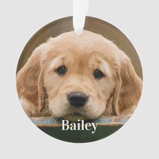 カスタムペット犬パーソナライズされた愛愛記念 オーナメント (正面)