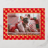カスタムペット犬フォトクリスマスポープリント金ゴールド 箔シーズンポストカード (正面)