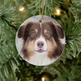 カスタムペット犬2写真クリスマス セラミックオーナメント
