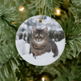 カスタムペット猫2写真クリスマス セラミックオーナメント