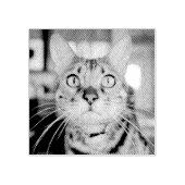 カスタムペット用のラバースタンプ ラバースタンプ (インプリント)