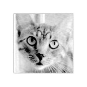 カスタムペット用のラバースタンプ ラバースタンプ (インプリント)