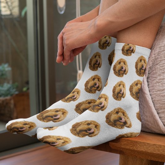 カスタムペット用フォトソックス ソックス