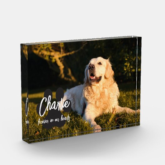 カスタムペット記念撮影ブロック フォトブロック (左)