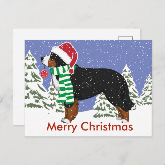 カスタムホリデーベルネーズマウンテンドッグクリスマス シーズンポストカード (正面/裏面)