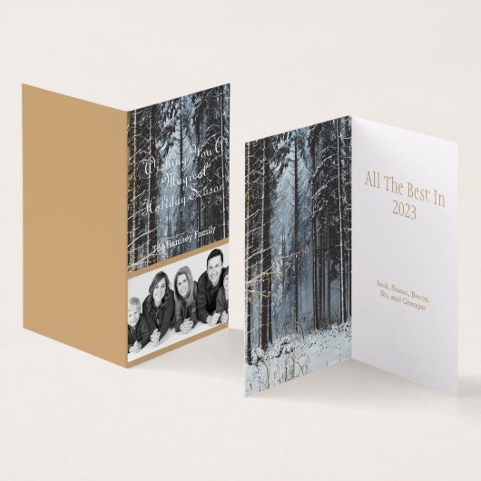 カスタムホリデー写真の冬のシーン (内部&外部)