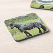 カスタムホースコースター コースター (左側)