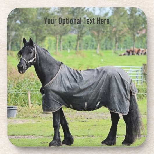 カスタムホースコースター コースター (正面)