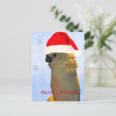 カスタムポーシングサンタホリデーコカトゥーバード シーズンポストカード (スタンド正面)