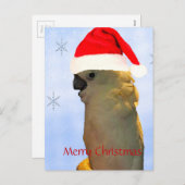 カスタムポーシングサンタホリデーコカトゥーバード シーズンポストカード (正面/裏面)