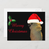 カスタムポーシングサンタホリデーコカトゥーバード シーズンポストカード (正面/裏面)