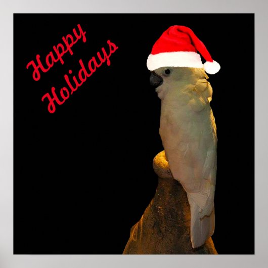 カスタムポーシングサンタホリデーコカトゥーバード ポスター (正面)