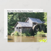 カスタムマブリミルポストカード ポストカード (正面/裏面)