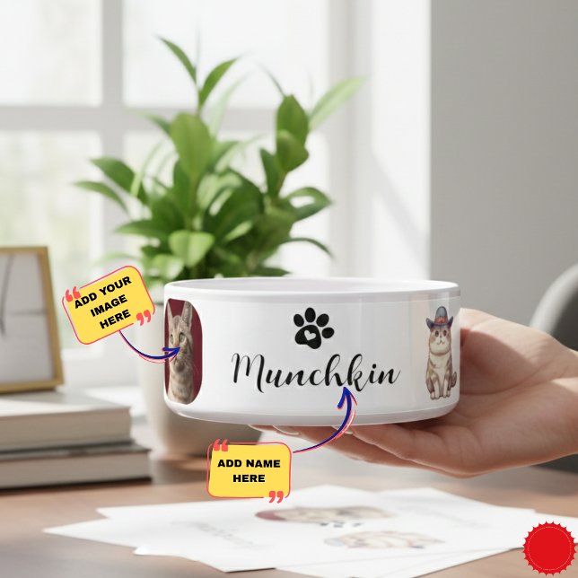 カスタムマンチキンキャットボウル(名前と品種デザイン) ボウル (Custom Munchkin Cat Bowl with Name & Breed Design)