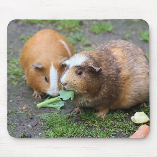 カスタムモダンペット写真 マウスパッド (正面)