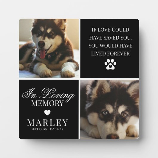 カスタムモダンペット記念写真プラーク フォトプラーク (正面)