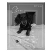 カスタムモダンペット詳細ポートレートプリント フォトプリント            (正面)