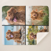 カスタムモダン4フォトコラージュ犬 シェルパブランケット (正面(横))