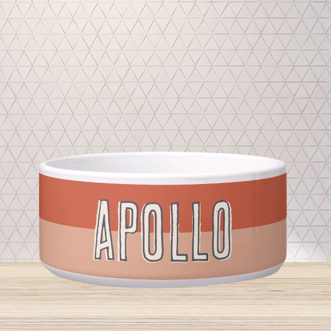 カスタムモダンTwo Tone Pet Name ボウル (Customize this fun, modern dog bowl with your pet's name! )