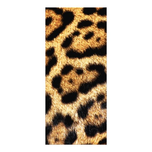 カスタムモバイルスプレーの価格表 ラックカード (裏面)