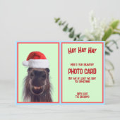 カスタムユーモアあふれる馬のパンプラン必須写真カード シーズンカード (スタンド正面)