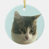 カスタムライトブルーのタビー猫の写真 セラミックオーナメント (正面)