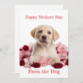 カスタムラブラドール子犬とバラの母の日カード シーズンカード (正面/裏面)