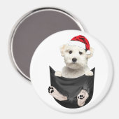 カスタム光冷凍機磁石 |ペット磁石 マグネット (正面/裏面)