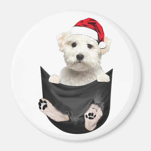 カスタム光冷凍機磁石 |ペット磁石 マグネット (正面)