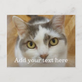 カスタム写真と名前パーソナライズされた ポストカード (正面)