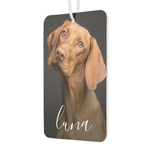 カスタム写真のパーソナライズされたペット名 カーエアーフレッシュナー (左)