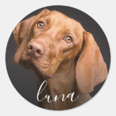 カスタム写真のパーソナライズされたペット名 ラウンドシール (正面)